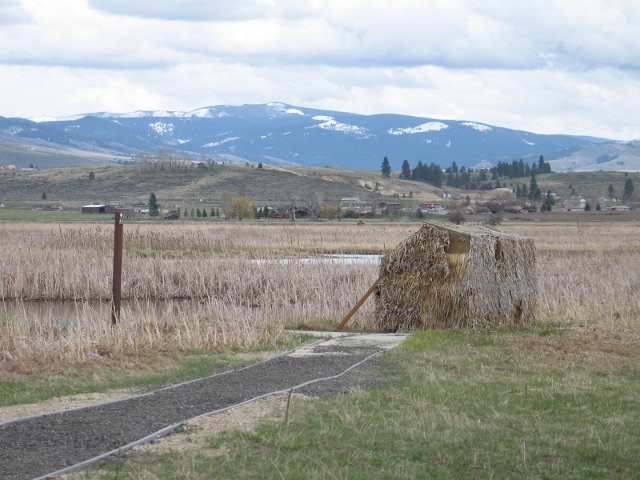 picture showing Accessible hunting blind located within the wildlife refuge. Please contact the refuge for more information about the use of these sites, and FWP for hunting regulations.